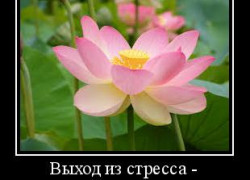 Пути выхода из стресса.