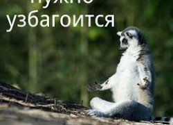 Узбагойся, — откуда это?