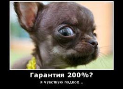 Инфобизнесмены рунета. Обман через интернет.