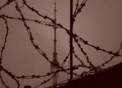 Почему люди обманывают друг друга в интернете?