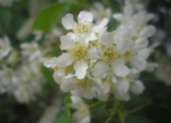 Прикольная переписка на сайте знакомств.