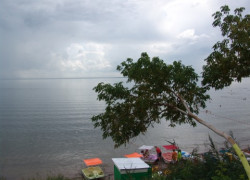 Синдром Аспергера и триммер