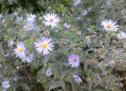 Интересные необычные факты, читайте и узнаете