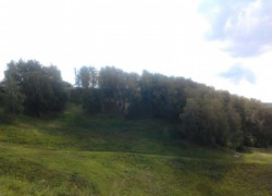 Побалуй себя мороженым!