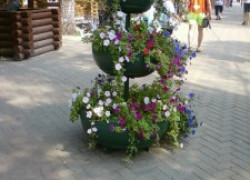 А где вы будете праздновать свою свадьбу?