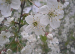 10 интересных фактов о достопримечательностях