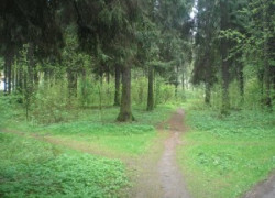 Удивительные факты о планете Земля