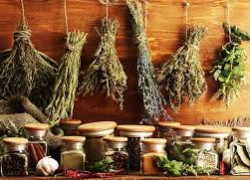 Лечебные травы