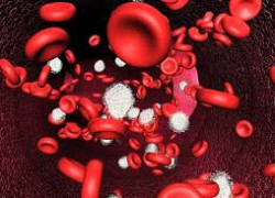 Поднять гемоглобин