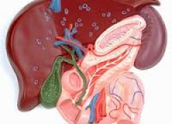 Симптомы холецистита