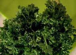 Приступаем к выводу токсинов из организма