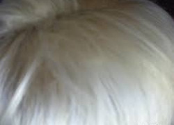 КАК ВОССТАНОВИТЬ ВОЛОСЫ ПОСЛЕ ОКРАШИВАНИЯ?